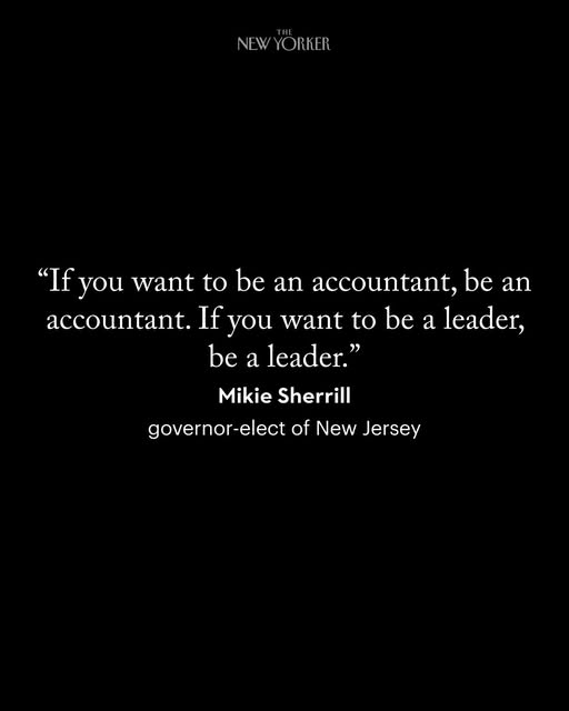 Sherrill Denigrates Accountants
